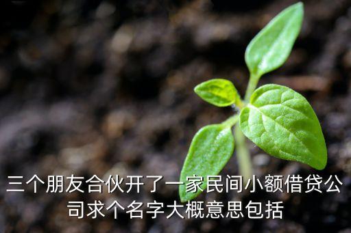 三個(gè)朋友合伙開了一家民間小額借貸公司求個(gè)名字大概意思包括