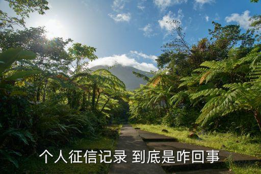 個(gè)人征信記錄 到底是咋回事