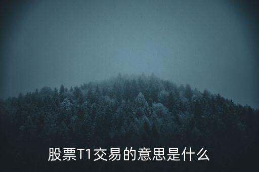股票T1交易的意思是什么