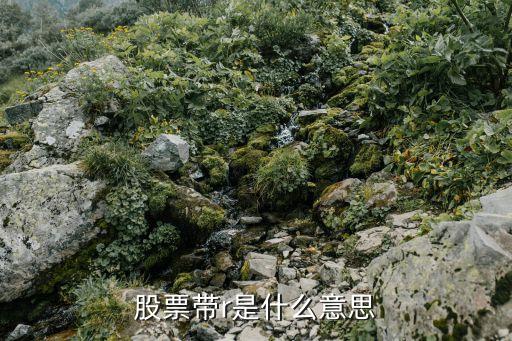 股票帶r是什么意思
