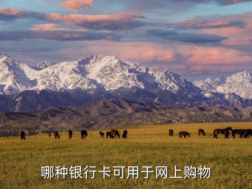 網(wǎng)購用什么銀行卡，哪種銀行卡可用于網(wǎng)上購物
