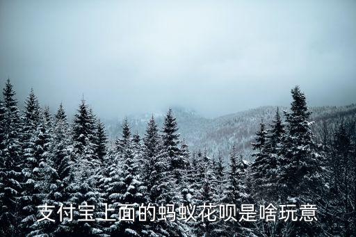 支付里的花唄是什么東西嗎，支付寶上面的螞蟻花唄是啥玩意