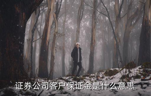 證券 保證金賬戶是什么意思，證券公司客戶保證金是什么意思