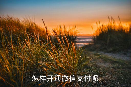 怎樣開(kāi)通微信支付呢