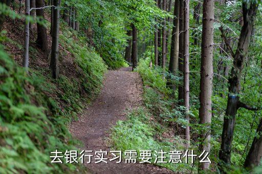 銀行新人要注意什么，去銀行實習(xí)需要注意什么