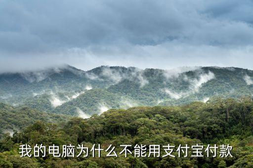 我的電腦為什么不能用支付寶付款