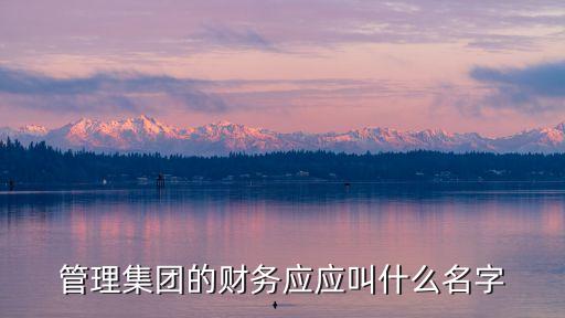 管理集團(tuán)的財(cái)務(wù)應(yīng)應(yīng)叫什么名字