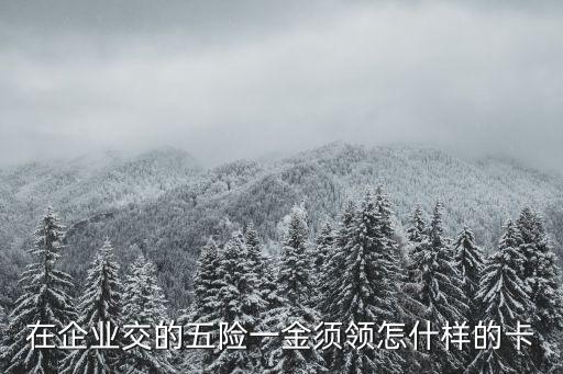 交五險(xiǎn)什么卡，繳納五險(xiǎn)后會(huì)得到什么卡