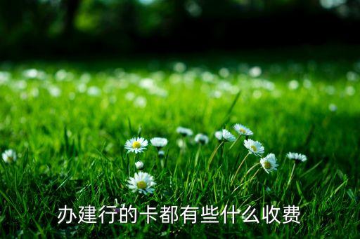 新辦建行金卡收什么費用，請問建設銀行的龍卡IC信用卡金卡的收費方式