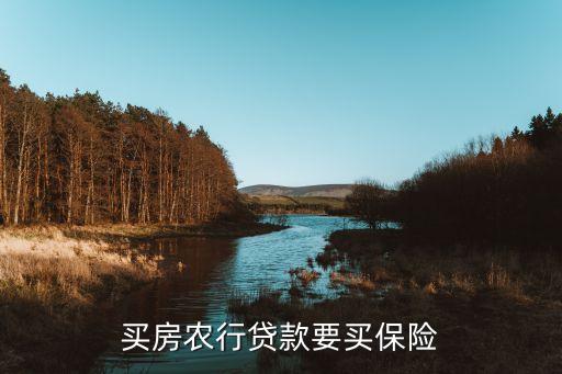 農(nóng)行貸款保險保什么條件，銀行對貸款車的保險有什么要求