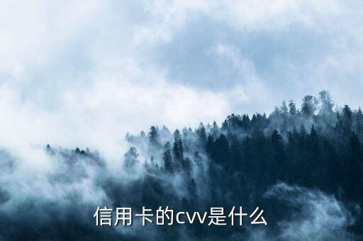 建行信用卡安全碼是什么意思啊，信用卡的cvv是什么