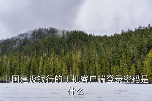 中國建設銀行的手機客戶端登錄密碼是什么