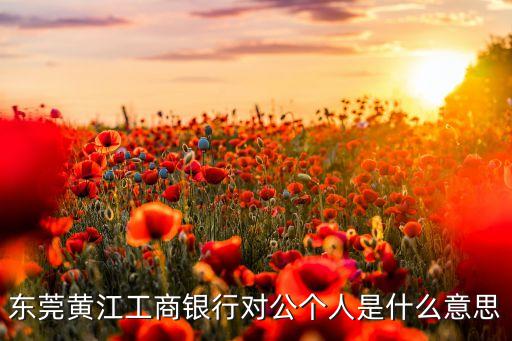 東莞黃江工商銀行對公個人是什么意思