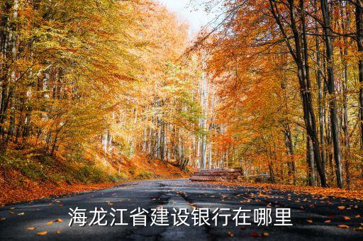海龍江省建設(shè)銀行在哪里