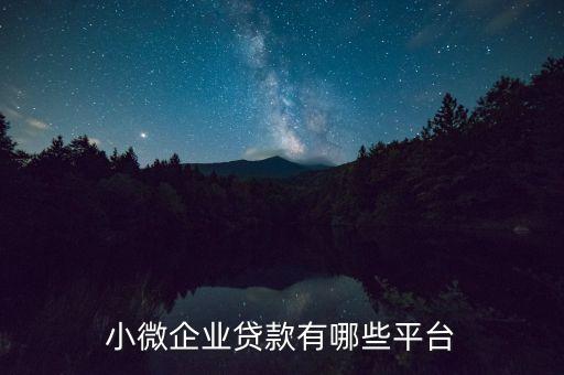 小微企業(yè)貸款有哪些平臺