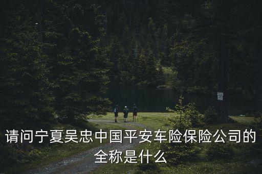 請問寧夏吳忠中國平安車險保險公司的全稱是什么