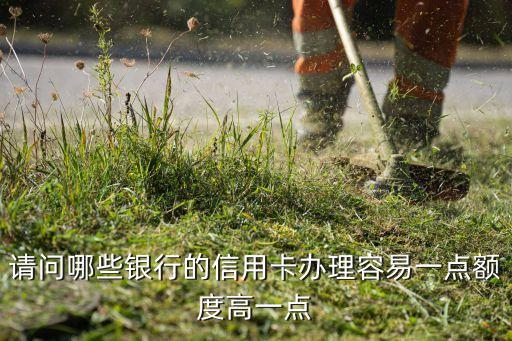 請(qǐng)問(wèn)哪些銀行的信用卡辦理容易一點(diǎn)額度高一點(diǎn)
