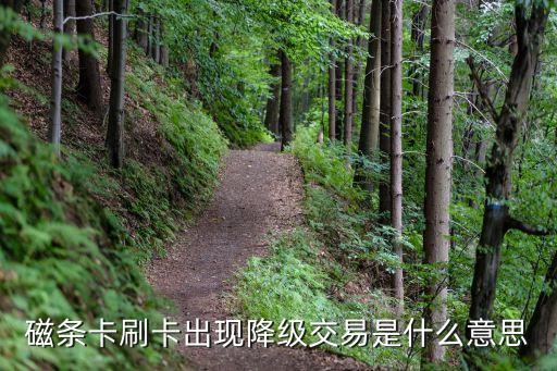 信用卡顯示降級交易是什么意思，刷卡機出現(xiàn)降級交易時是甚么意思