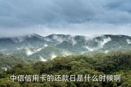 中信信用卡的還款日是什么時(shí)候啊