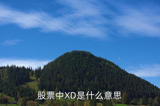 股市中的xd是什么意思，股票XD是什么意思的