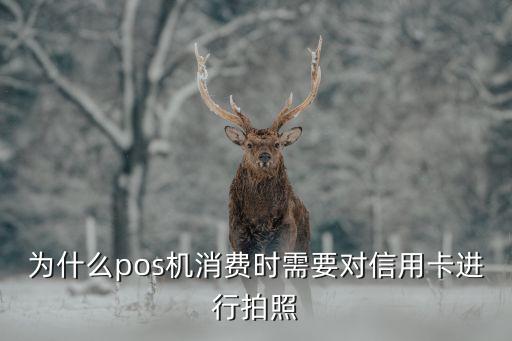 為什么pos機(jī)消費(fèi)時(shí)需要對信用卡進(jìn)行拍照
