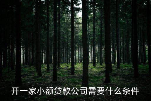 開貸款公司要什么手續(xù)，開一家小額貸款公司需要什么條件