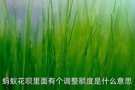 螞蟻花唄里面有個調整額度是什么意思