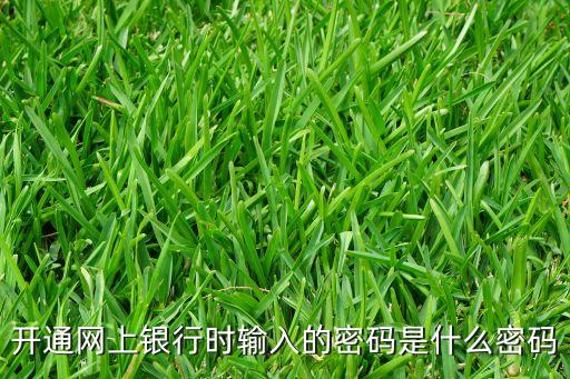 開通網(wǎng)上銀行時輸入的密碼是什么密碼