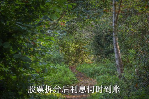 股票拆分后利息何時(shí)到賬
