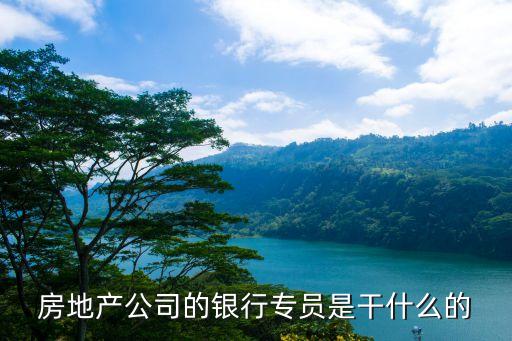房地產(chǎn)公司的銀行專員是干什么的