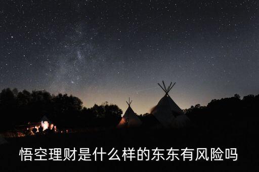 悟空理財pro是什么，悟空理財怎么用