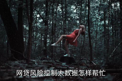 網(wǎng)貸上大數(shù)據(jù)什么意思，為什么自己會是網(wǎng)貸大數(shù)據(jù)黑名單我明明就沒有逾期過啊