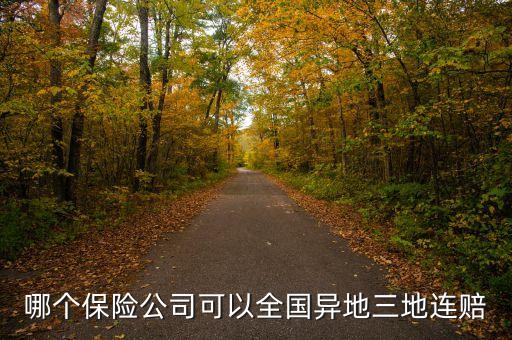 哪個保險公司可以全國異地三地連賠