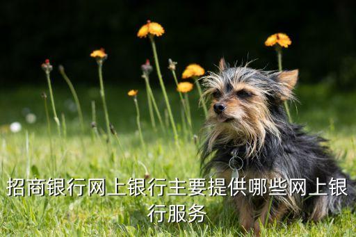 招商銀行網(wǎng)上銀行主要提供哪些網(wǎng)上銀行服務(wù)