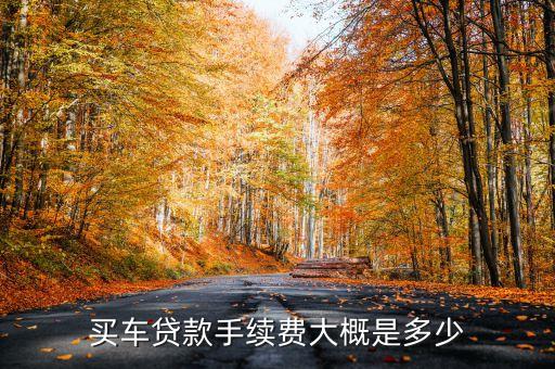 買(mǎi)車貸款手續(xù)費(fèi)大概是多少