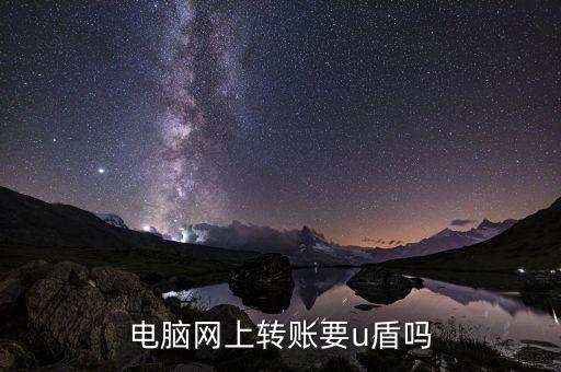 電腦網(wǎng)上轉(zhuǎn)賬要u盾嗎