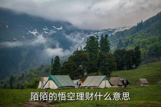 陌陌的悟空理財什么意思
