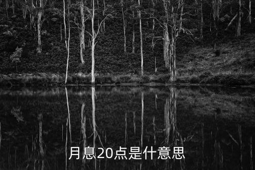 月息20點是什意思