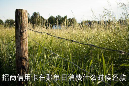 招商信用卡在賬單日消費(fèi)什么時(shí)候還款