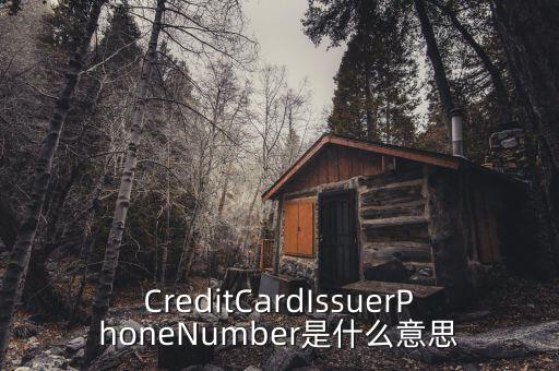 信用卡的來源碼是什么意思，CreditCardIssuerPhoneNumber是什么意思