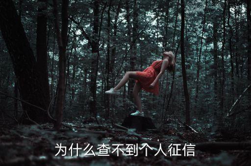 為什么網(wǎng)上查不了征信，為什么在手機上查不到個人征信