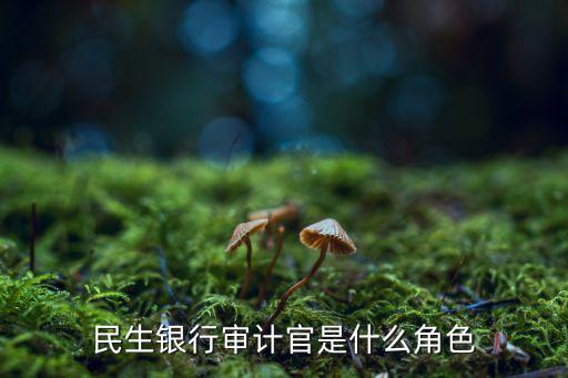 銀行 審貸官是什么級別，請問一下招商銀行的職員授信審貸官在招行主要負責(zé)做什么謝謝