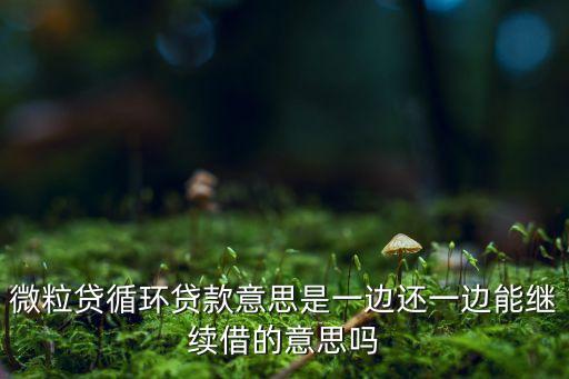 微粒貸循環(huán)貸款意思是一邊還一邊能繼續(xù)借的意思嗎