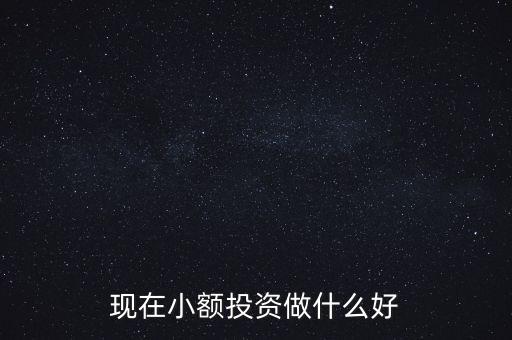 現(xiàn)在小額投資做什么好