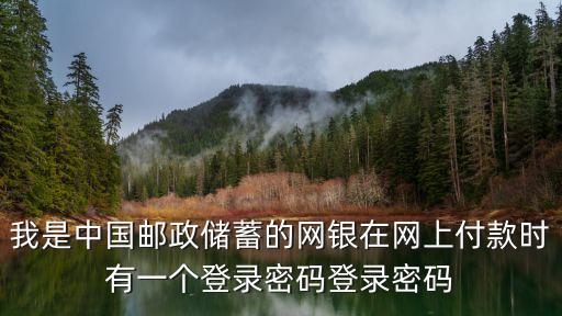 我是中國(guó)郵政儲(chǔ)蓄的網(wǎng)銀在網(wǎng)上付款時(shí)有一個(gè)登錄密碼登錄密碼