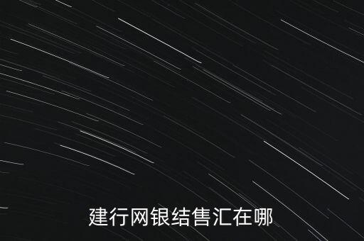 建行網銀結售匯在哪
