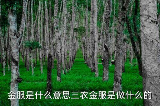 三農(nóng)金融事業(yè)部是什么意思，中國(guó)農(nóng)業(yè)銀行 quot三農(nóng)quot 指什么