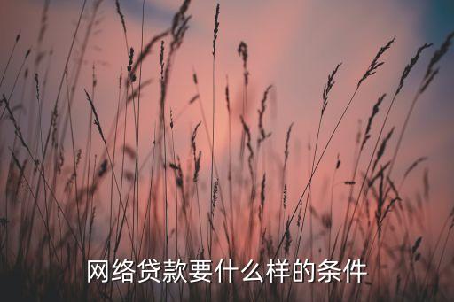 網絡貸款需要的條件是什么意思，網絡貸款要什么樣的條件