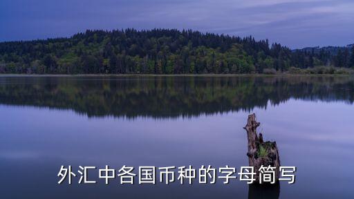 外匯中各國(guó)幣種的字母簡(jiǎn)寫