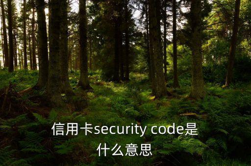 信用卡security code是什么意思